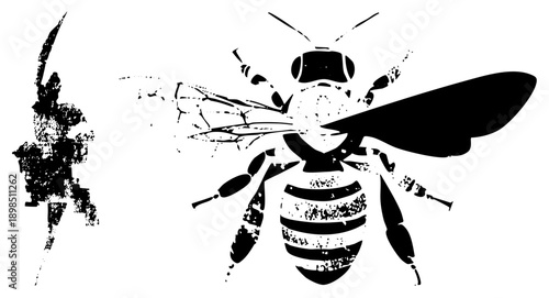 Black and white vector illustration of a bee and warrior figure, gritty texture, stencil art, isolated graphic elements, halftone effect, bold, symbolic design.