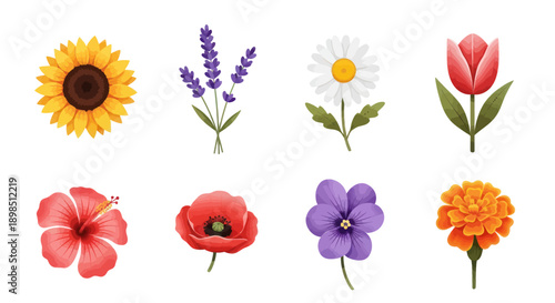 Floral variety botanical bloom collection