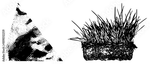Black and white halftone graphic featuring grass in pot and abstract triangular form, vector art, isolated elements, botanical illustration, minimalist design.