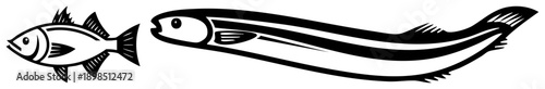 Graphic depiction of two fish, one compact with fins, one elongated with stripes, minimalist black, vector art, isolated design.
