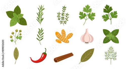 Fresh herbs and spices collection