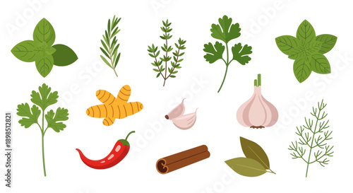 Fresh herbs and spices collection