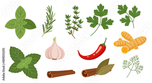 Fresh herbs and spices on white