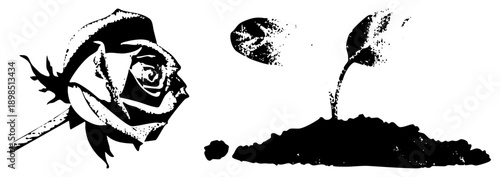 silhouette of rose and seedling, halftone texture, stark contrast, botanical illustration, nature symbolism, vector art, isolated elements.