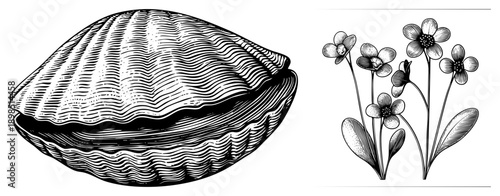 with intricate ridges and delicate flowers with stems and leaves, rendered in vector art, nature illustration, botanical sketch.