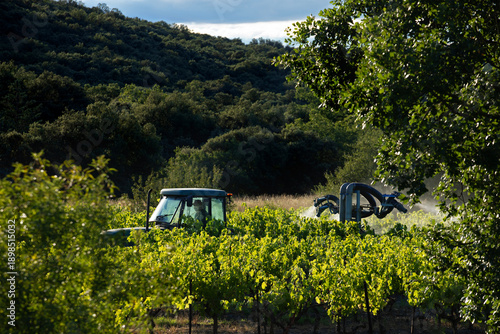 Vigneron traite le raisin de ses vignes depuis son tracteur en pulvérisant un pesticide afin de lutter contre les insectes, les nuisibles et le mildiou.
