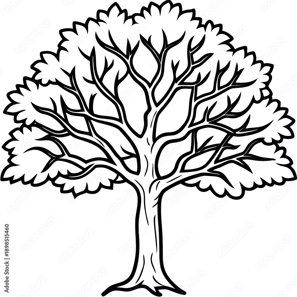 Fototapeta premium tree with roots