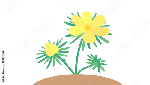 A simple illustration of yellow flowers growing in brown soil