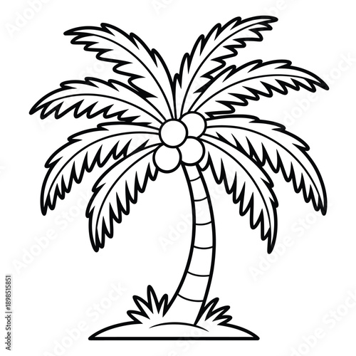 Simple black and white illustration of a tropical palm tree with coconuts