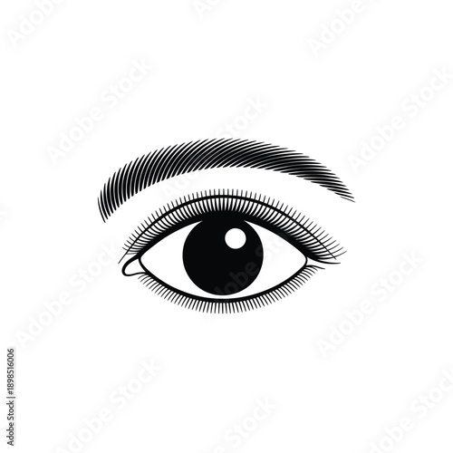 Detailed illustration of a human eye with prominent eyelashes and brow