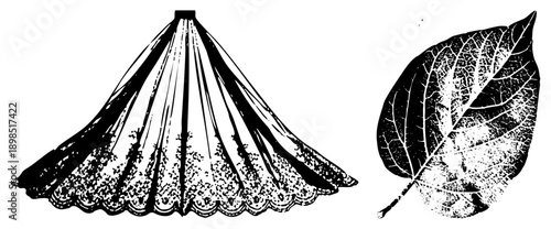Ornate lace veil with scalloped edge and motifs, paired with textured leaf showing vein, both rendered in halftone style, ideal for graphic design or botanical art.