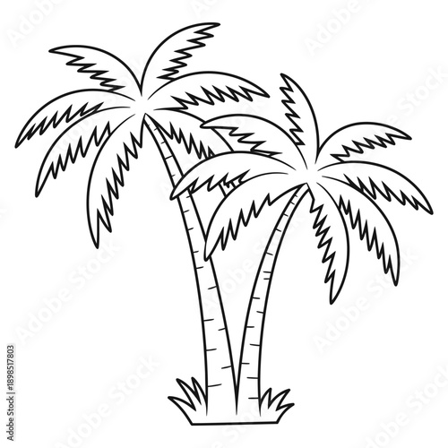 Simple black and white illustration of two tropical palm trees