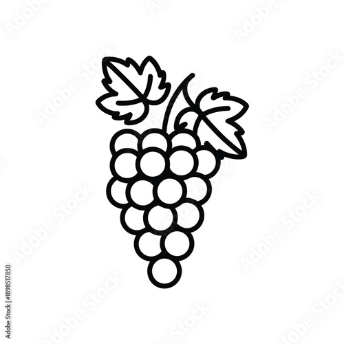 Simple line drawing of a bunch of grapes with leaves above