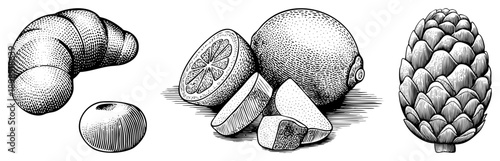 Classic halftone sketch of baked croissant, citrus lemon slices, and artichoke, rendered in detailed hatching and stippling, ideal for culinary or vintage design projects.