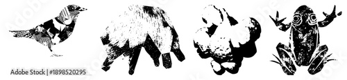Four bold black and white vector animals bird, textured bear, halftone duck, expressive eyed frog. Flat, high contrast design.