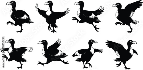 Black bird silhouette set in various walking and wing flapping poses white animation