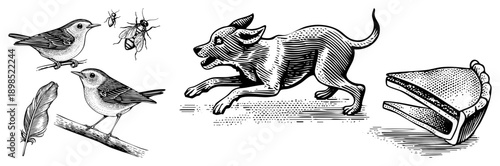 Classic engraved style illustrations featuring birds, insects, a leaping dog, and a sliced pie, rendered in halftone shading and fine art for vintage aesthetic appeal.