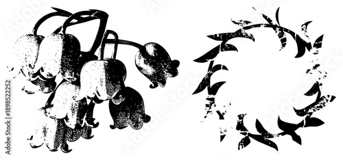 Stylized bellflower bouquet with halftone texture, circular leaf wreath, vintage botanical illustration, black and white graphic design, motif.