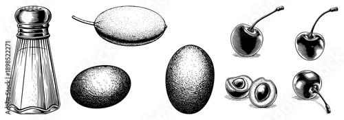 Classic salt shaker with textured glass, halftone rendered fruits including olive, lemon, egg, cherries, and apricot halves, vector illustration.