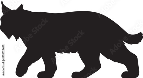 Vector illustration design with mixed colors and typography