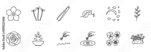 Set of edible flower and microgreen line art icons showing culinary garnishes, including tweezers, sprouts, pansies, and a hand decorating a plate for fine dining concepts