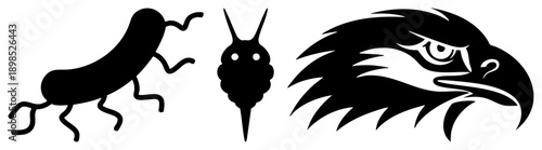 Stylized black tribal animal including a running roach, scorpion, and fierce eagle head, flat vector design for branding or tattoo art.