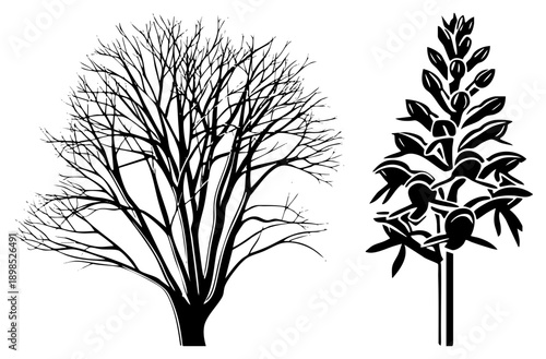 Leafless tree branches and orchid flower stalk rendered as bold black silhouettes, botanical vector graphics, nature, minimalist flora design.