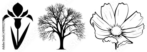 Abstract flower, bare tree, cosmos bloom minimalist black, graphic design elements, nature motifs, clean, botanical shapes, vector art.