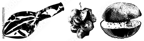 Stylized black and white graphic of a sliced avocado, a bunch of grapes, and a halved coconut, rendered in halftone dot with bold.