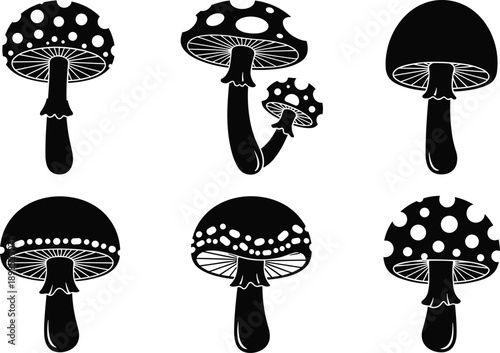 mushroom, fungi, toadstool, silhouette, icon, botanical, nature, forest, fungus, plant, organic, illustration, symbol, graphic, black, mushroom silhouette, fungi icon, toadstool shape, botanical 