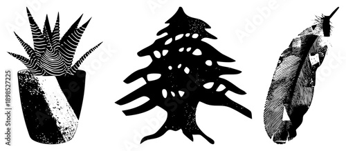 Graphic vector set featuring a succulent in pot, cedar tree silhouette, and textured feather cutout all in halftone style.