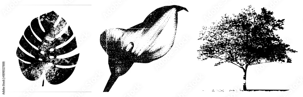 Fototapeta premium Stylized botanical illustrations with halftone texture, leaf, calla lily, tree silhouette, vector graphic, black and white, nature motifs.