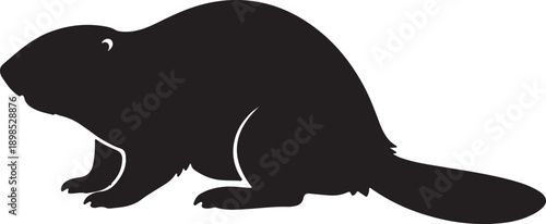 Vector design with multiple colors and fonts