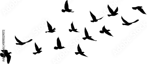 Flying birds silhouettes pattern wallpaper. PNG transparent. isolated bird flying. tattoo design. template for card, package, and wallpaper.