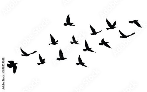 Flying birds silhouettes pattern wallpaper. Vector illustration. isolated bird flying. tattoo design. template for card, package, and wallpaper.