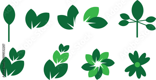 Collection of various green leaf shapes and types