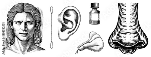 Classic engraved style depiction of ear, nose, and cotton swab, medical illustration, vintage print, anatomical diagram, hygiene tools, ear care, anatomy.
