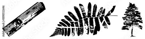 Black and white vector illustrations of natural elements textured log, detailed fern, and coniferous tree, ideal for graphic design, print, or digital.