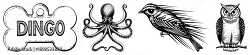 Dog tag labeled "DINGO" with bone shape, octopus, sparrow in motion, owl perched all rendered in detailed black and white engraving style, ideal for tattoo, logo, or print design.