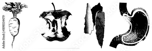 Vector halftone art of radish, bitten, corn cob, and stomach organ,, stylized, isolated foreground, medical or food graphic design.