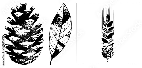 Black and white botanical vector art featuring pinecone, leaf, and wheat ear with halftone textures, nature motifs, graphic design elements, isolated foreground.