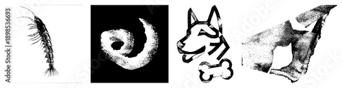 Detailed vector drawing of a crustacean, segmented exoskeleton, fine antennae, marine creature, scientific illustration, black and white art.