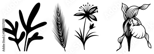 Black vector illustrations of stylized flora leafy fronds, wheat stalk, lily bloom, and orchid flower, minimalist design, nature motifs, graphic art.