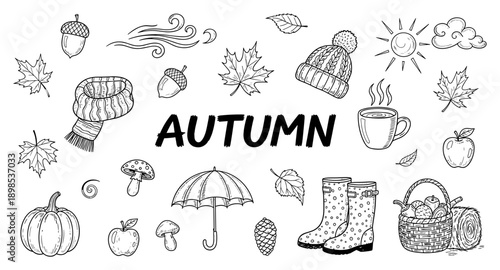 Collection of hand-drawn autumn elements and the word AUTUMN in bold lettering
