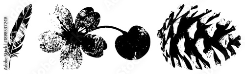 Distressed black vector feather with barbs, cherry blossom with stem, pinecone scales rustic nature motifs, ideal for eco design, print, or digital art.