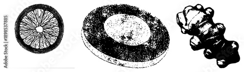 Black and white halftone illustrations of citrus section, ginger root, and bread slice, stylized vector graphics, isolated food elements, culinary textures.
