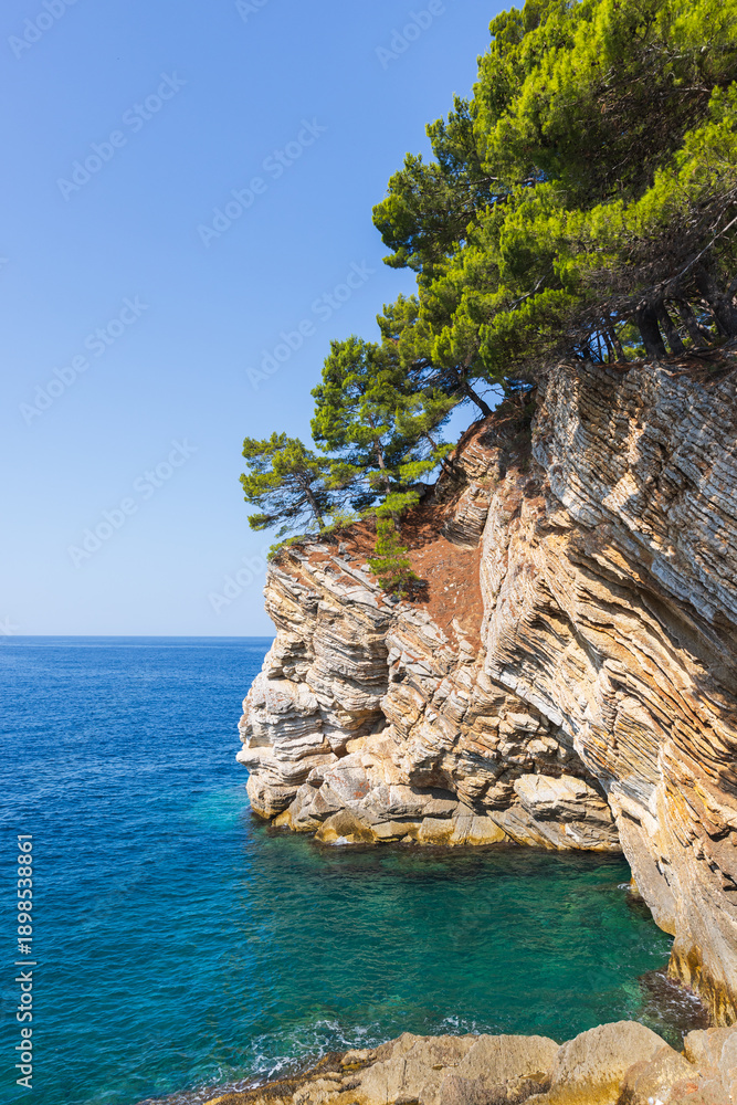 Fototapeta premium Sunlit coastal cliff with pine trees over turquoise water