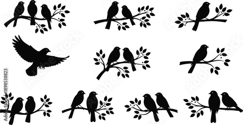 Bird silhouettes collection isolated on white background, black birds perched on branches, flying bird shapes, minimalist wildlife illustration