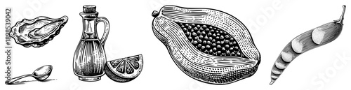 Artistic drawing of seafood, condiment, tropical fruit, and vegetable, rendered in black and white with hatching, ideal for culinary or botanical design.