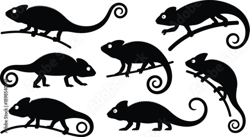 Black and White Chameleon Silhouettes, Reptile Vector Illustration, Animal Graphic Design, Unique Drawing, Creative Art, Wildlife Icon, Minimalist Style
